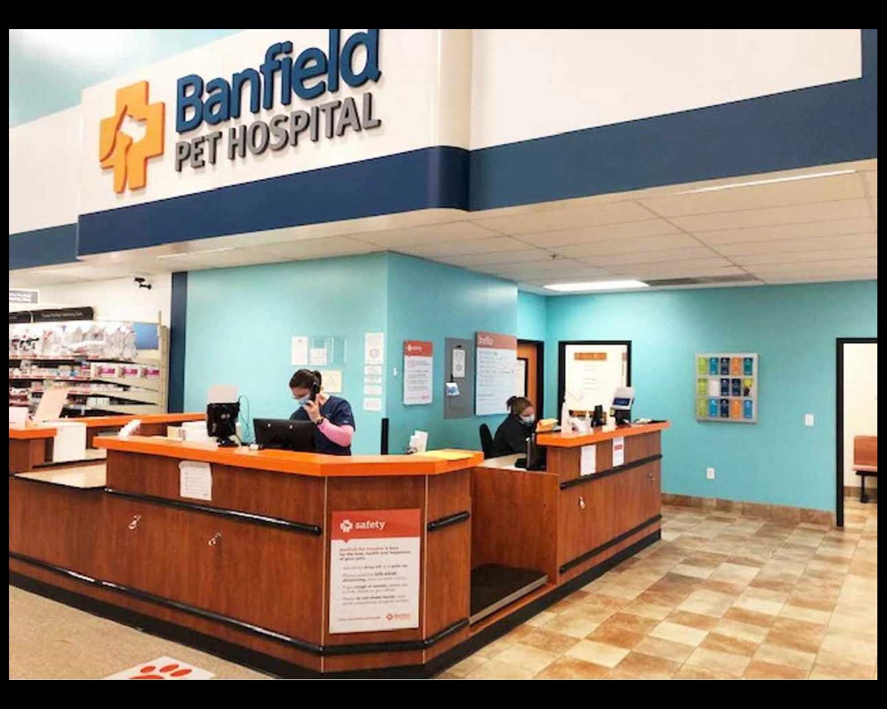 Veterinarians in Hickory | Banfield Pet Hospital®