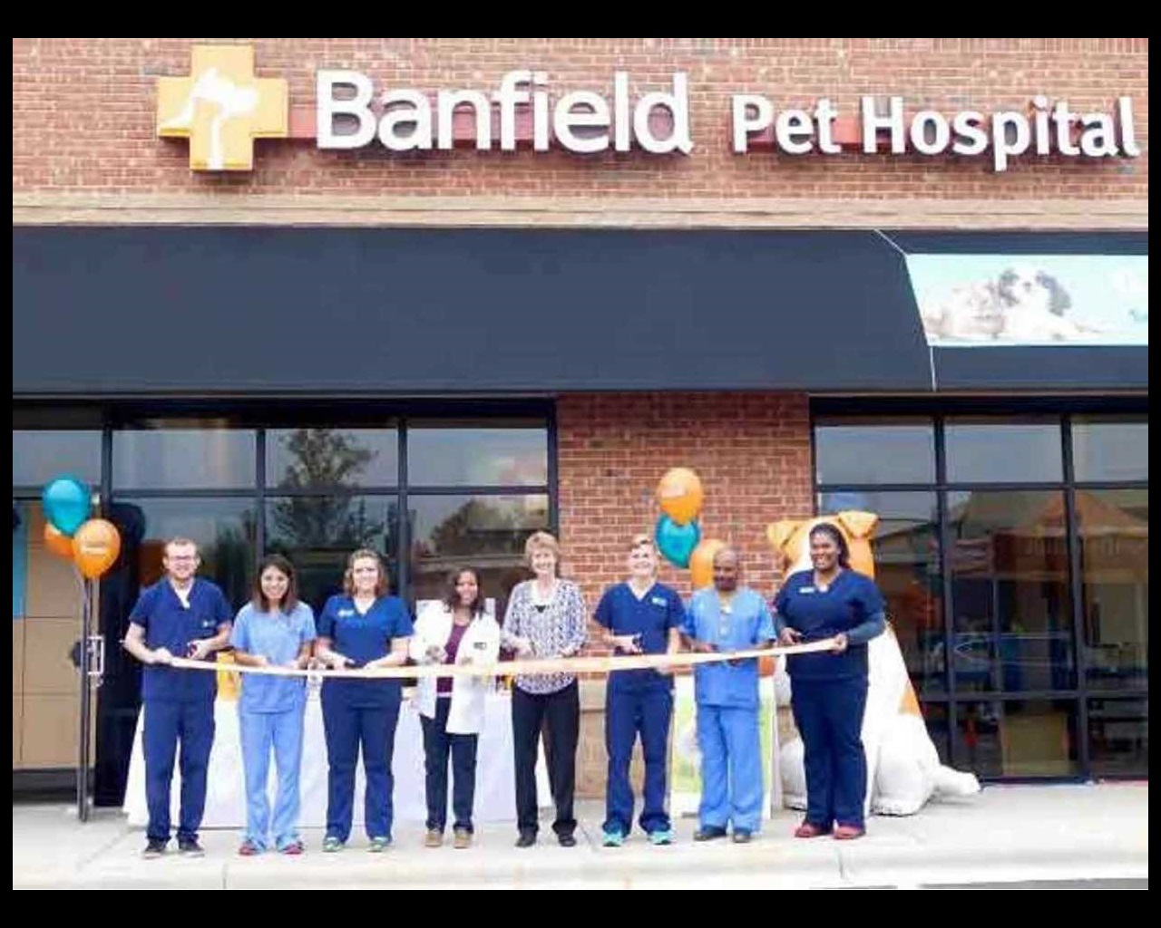 Vets In Charlotte Highland Creek Banfield Pet Hospital