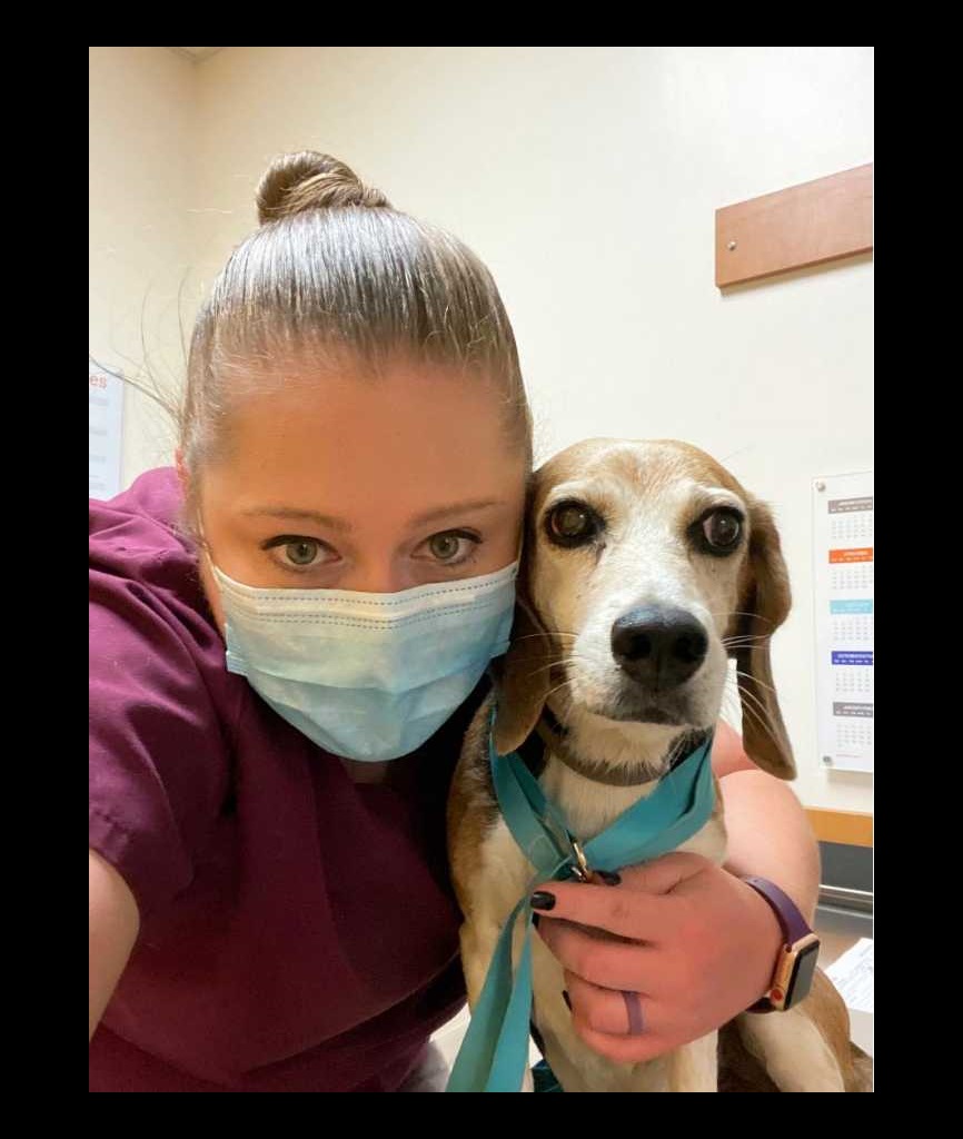 247 Pet Emergency Near Me : Emergency Vet 24 7 Find Emergency Vets