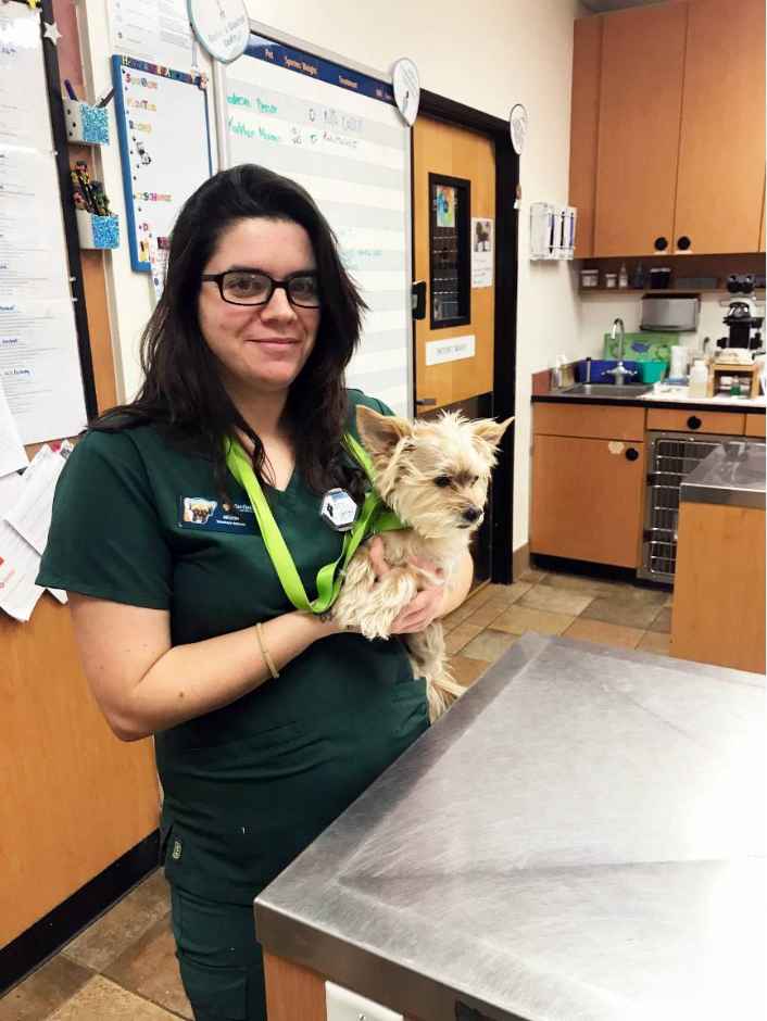 A female veterinarian holding a dog at the Banfield Pet Hospital
