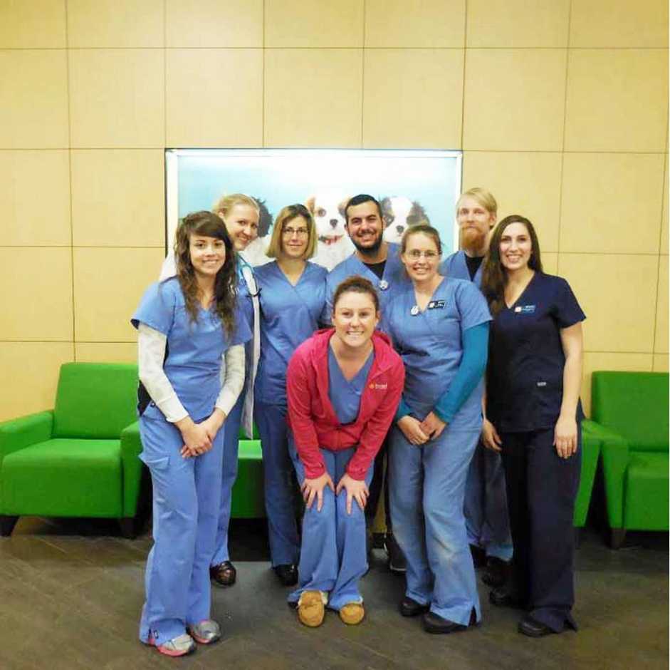 A group of Banfield Associates at the Banfield Pet Hospital