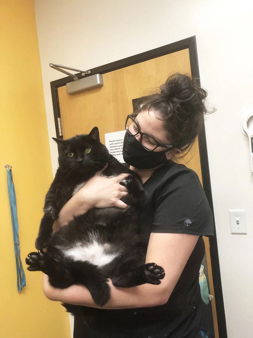 A young female veterinarian hugging a cat at the Banfield Pet Hospital