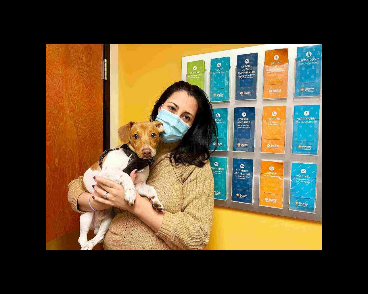 Banfield Pet Hospital Prices (Wellness Plan, Grooming + More)