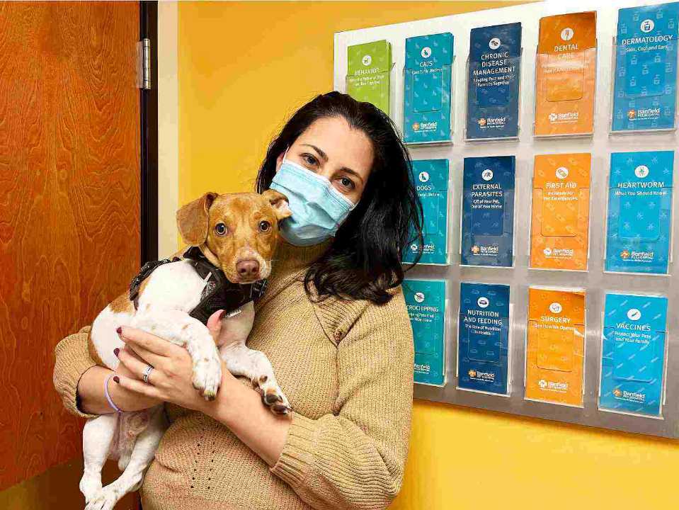 A female associate holding a dog at the Banfield Pet Hospital