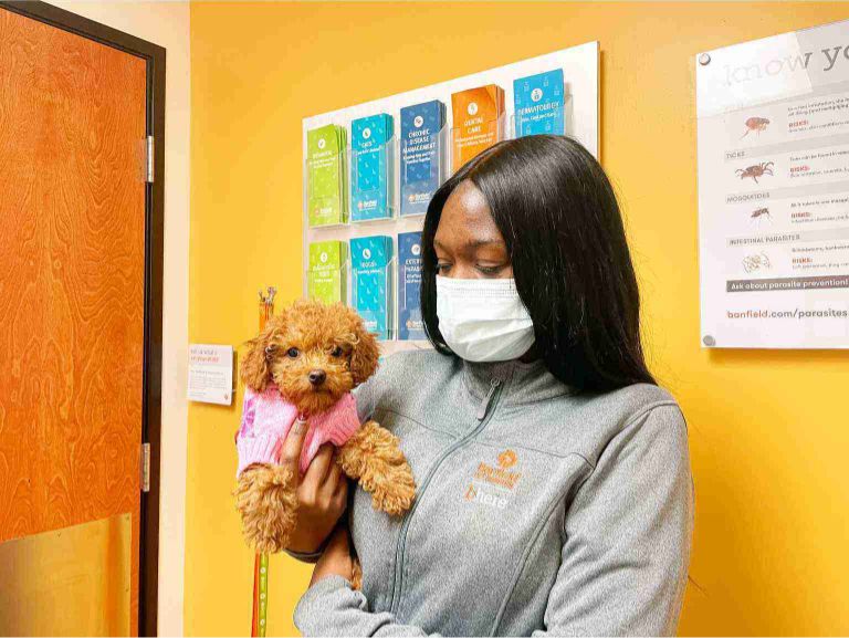 A female associate holding a puppy at the Banfield Pet Hospital