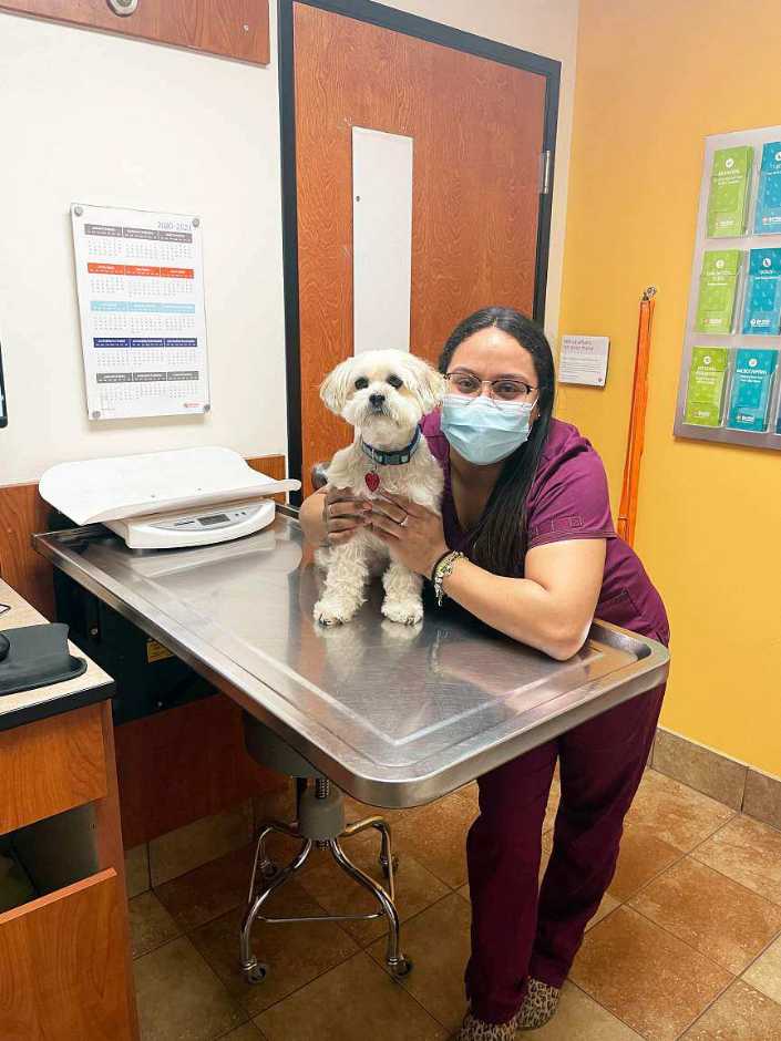 A female associate holding a dog at the Banfield Pet Hospital