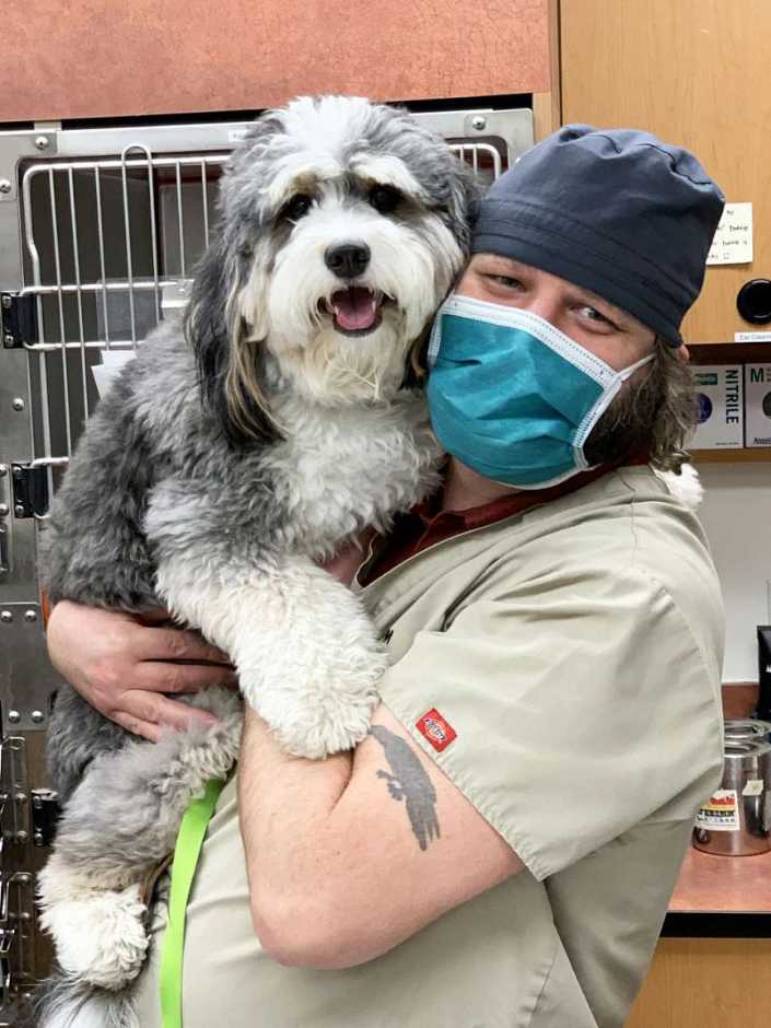 find parkdale animal hospital in newburgh find parkdale animal hospital in newburgh