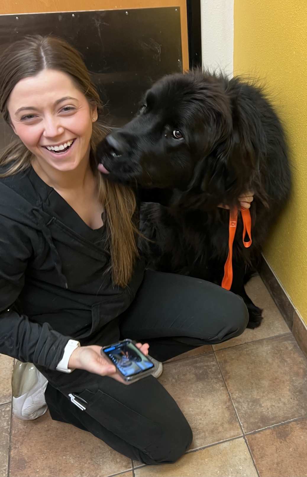 An associate petting a large dog