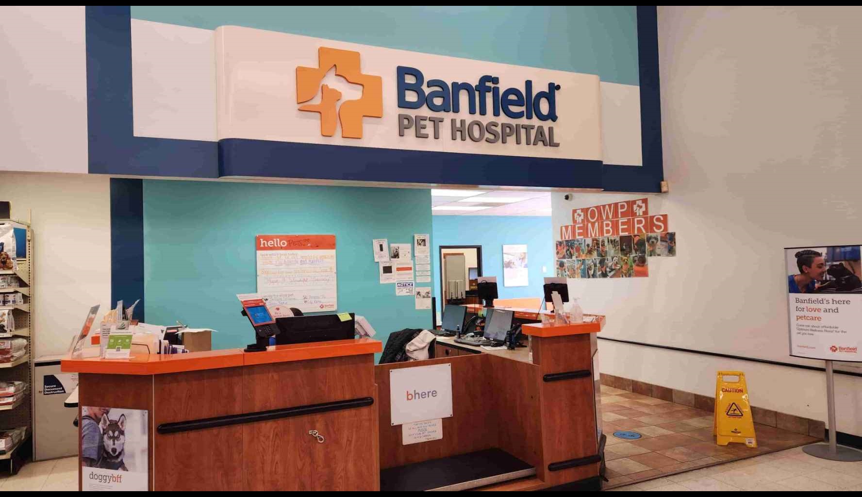 Banfield Pet Hospital Spay Cost