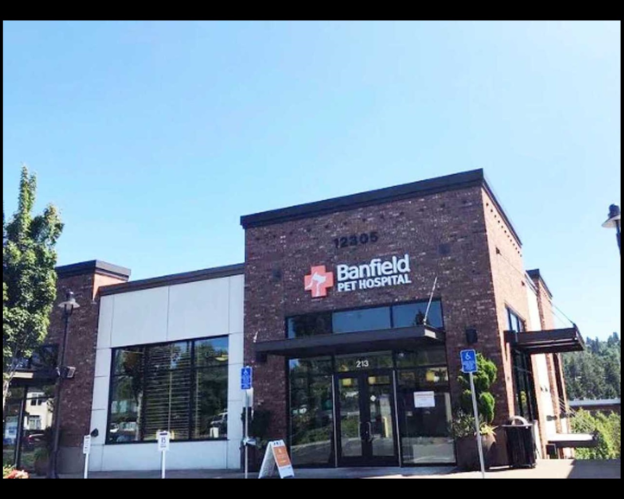 Veterinarians In Beaverton Progress Ridge Banfield Pet Hospital