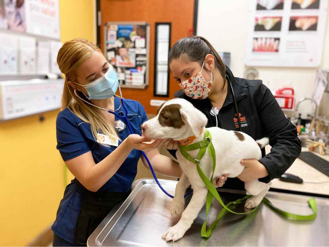 Vets in Bayamon, Puerto Rico Banfield Pet Hospital