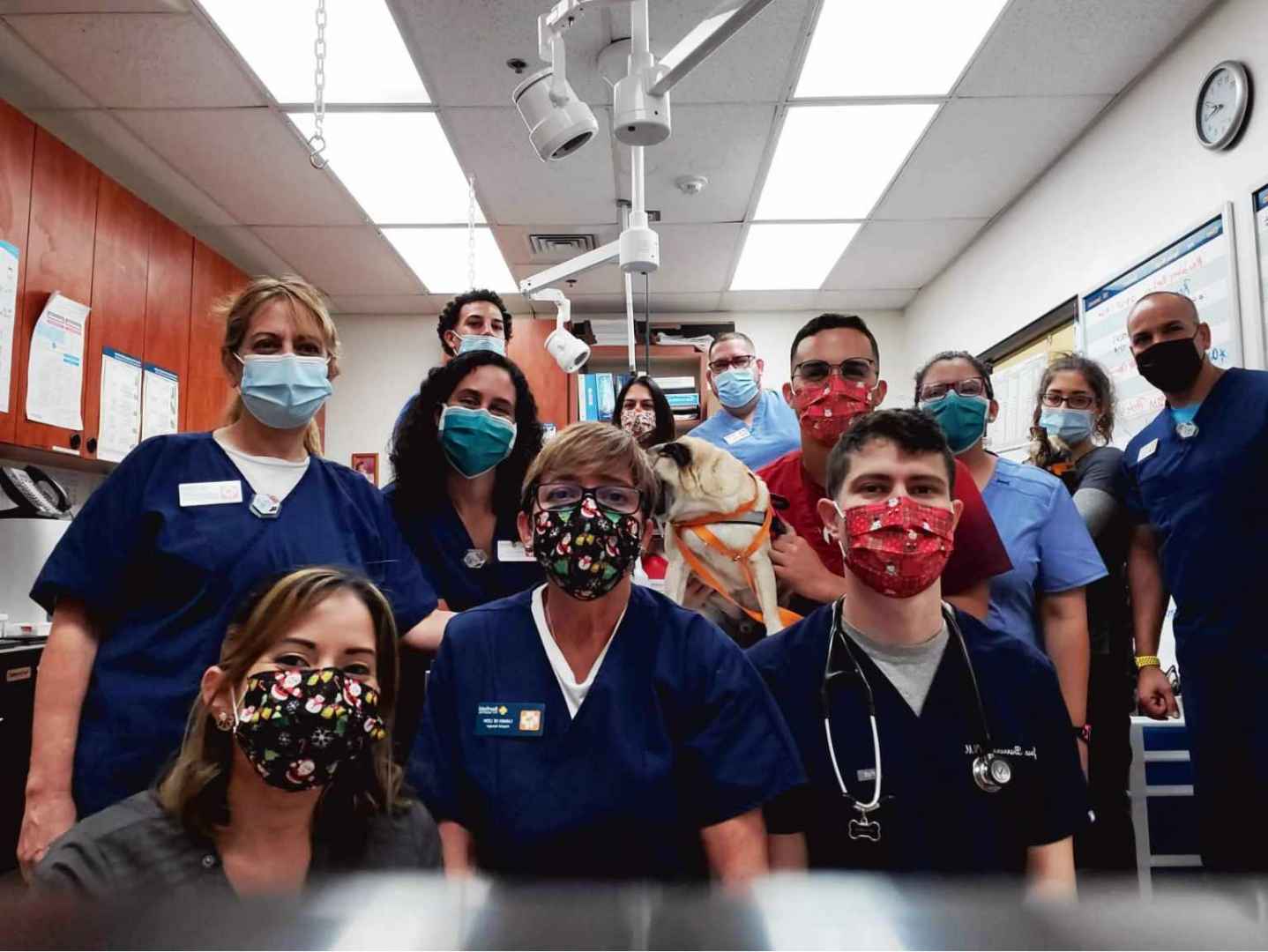 A group of Banfield Associates at the Banfield Pet Hospital, Senorial Plaza San Juan, Puerto Rico