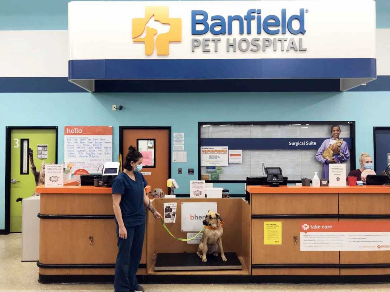 Petsmart hospital deals near me