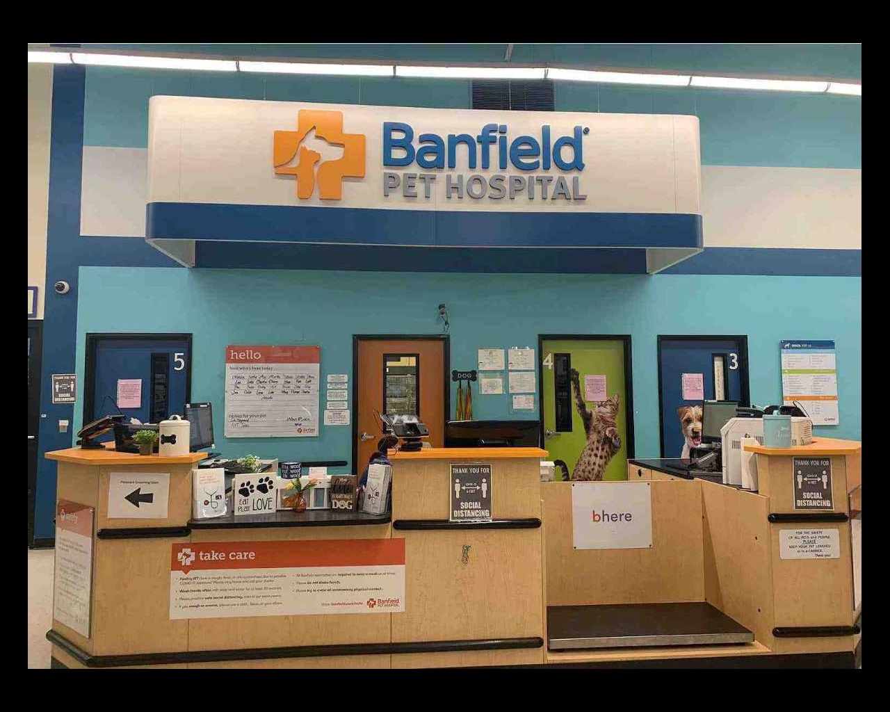 Banfield Pet Hospital Prices