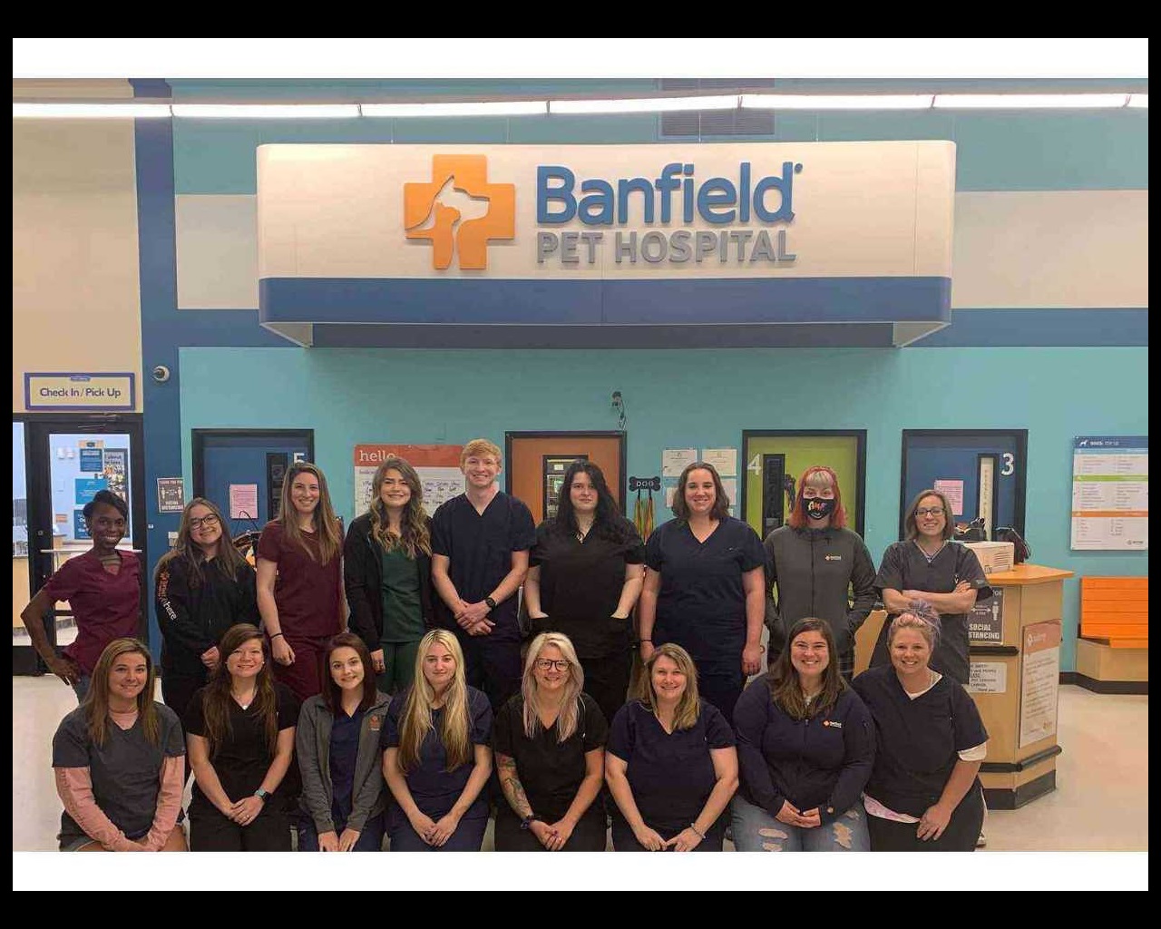 Banfield Pet Hospital Prices (Wellness Plan, Grooming + More)