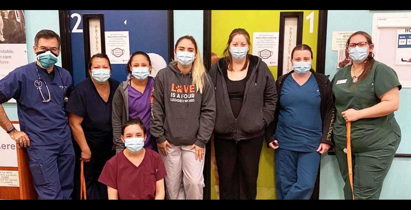 Veterinarians in Richardson, TX