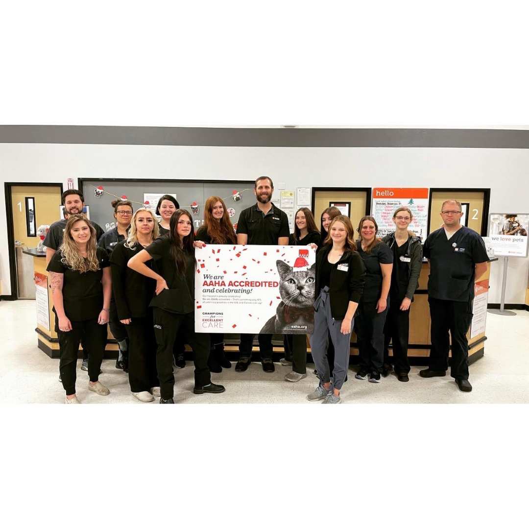 Veterinarians in American Fork, UT Banfield Pet Hospital