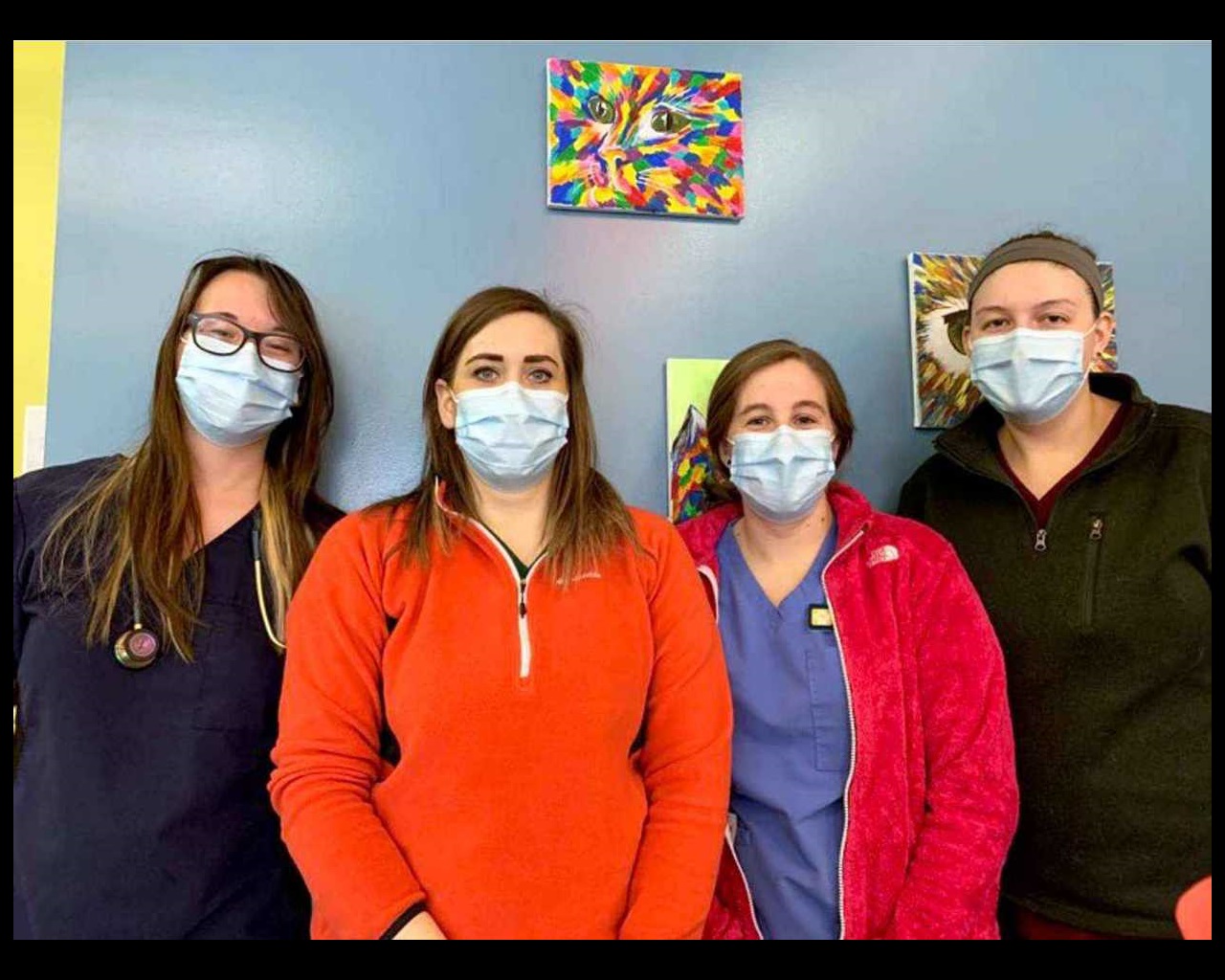 A group of associates at the Banfield Pet Hospital