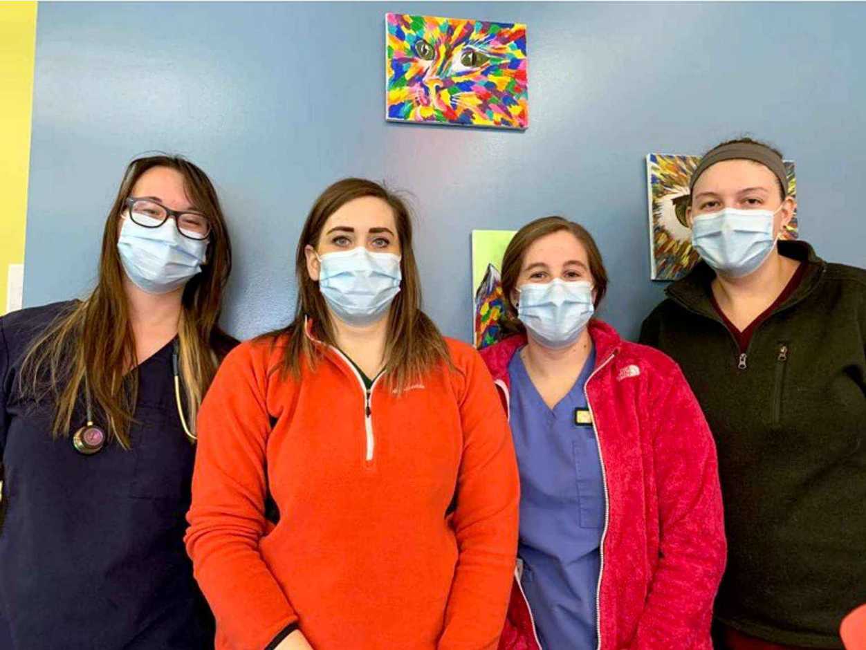 A group of associates at the Banfield Pet Hospital