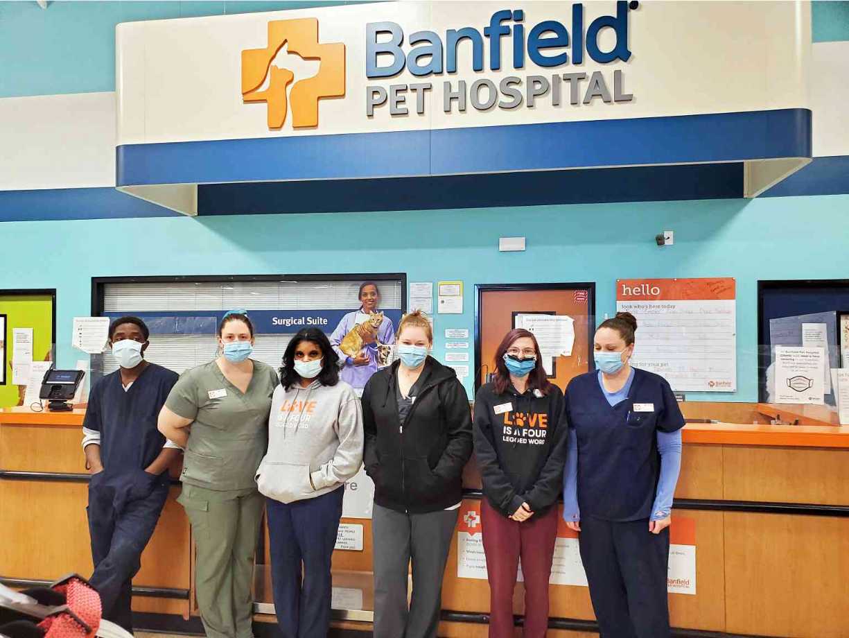 A group of associates at the Banfield Pet Hospital