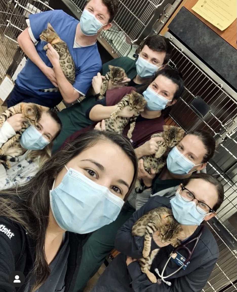 Veterinarians in Roanoke, VA Banfield Pet Hospital