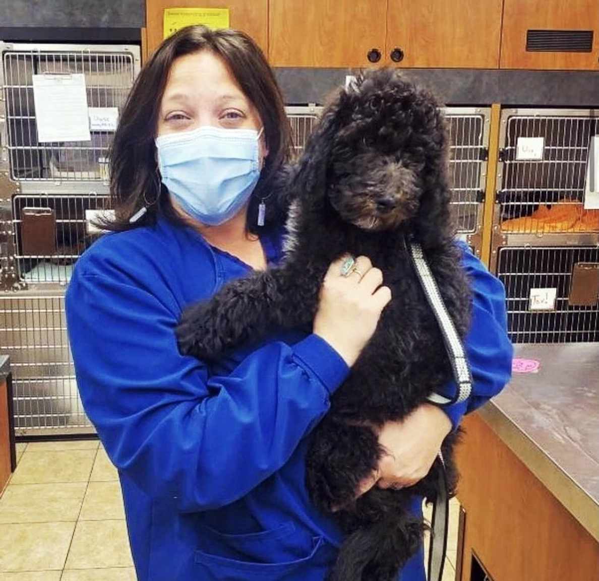 Veterinarians in Roanoke, VA Banfield Pet Hospital