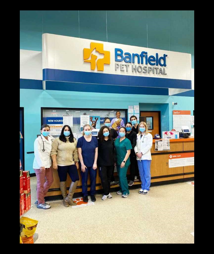 Veterinarians in Reston, VA Banfield Pet Hospital