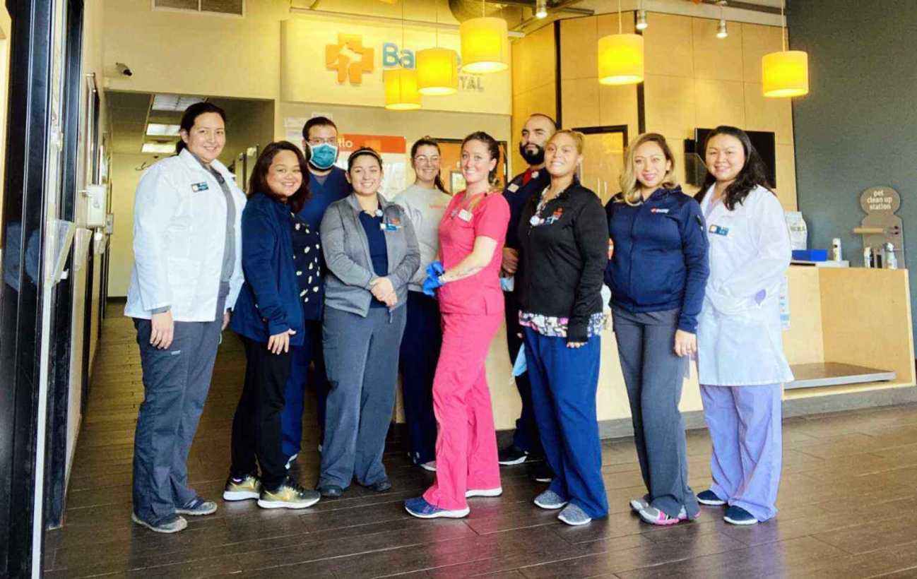 A group of associates at the Banfield Pet Hospital