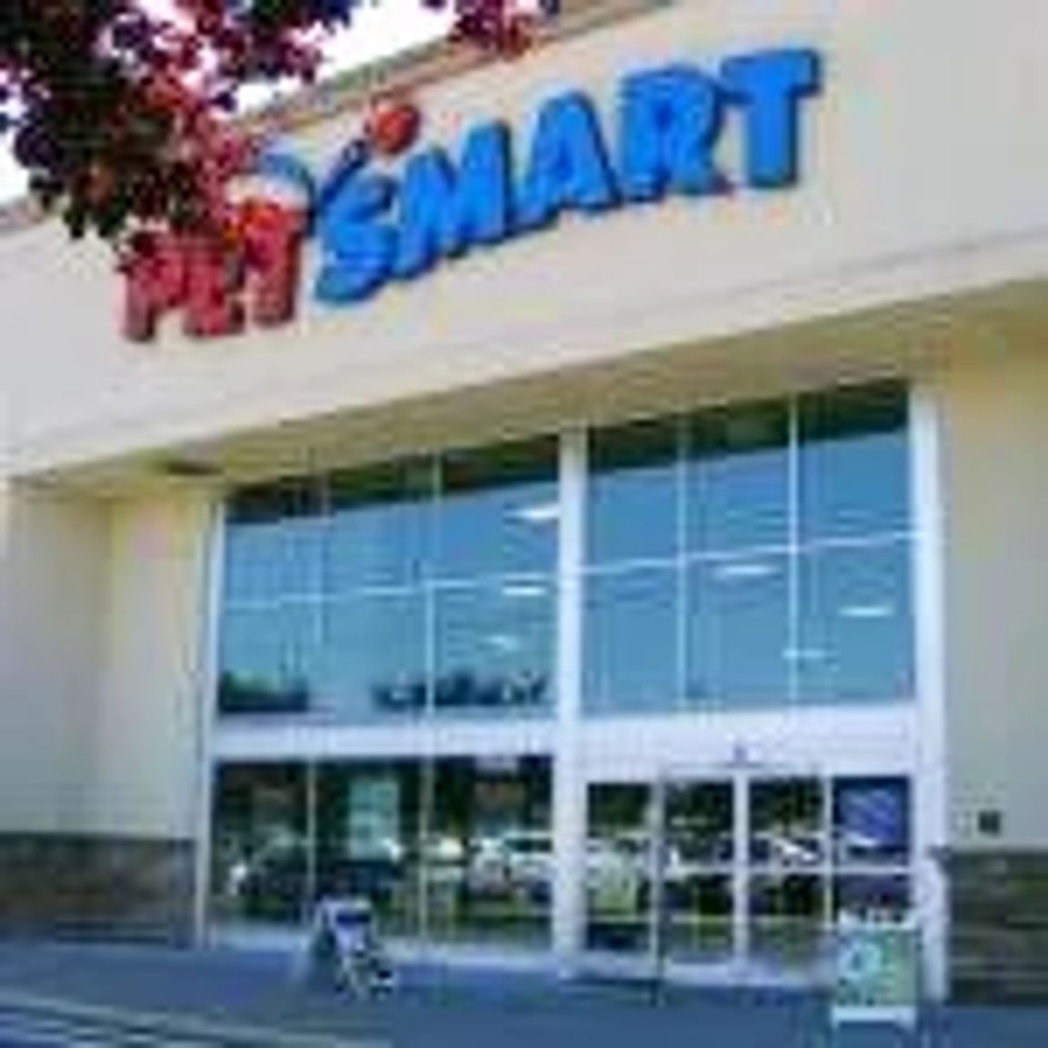 Outside the Petsmart building