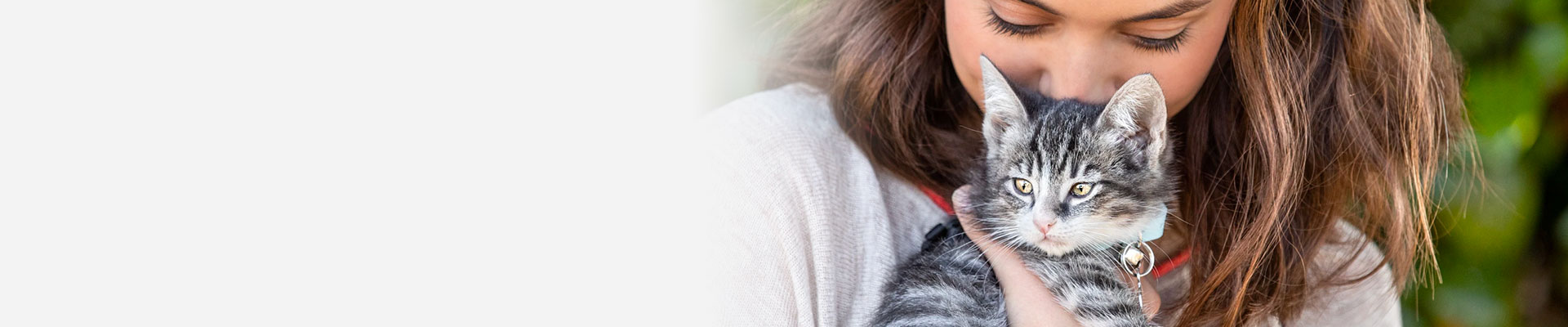Owner kissing cat